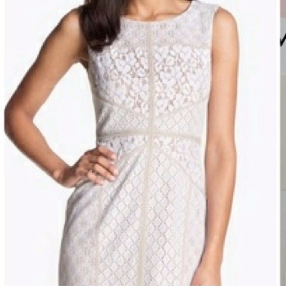 NWT! Maggy London Petites Elegant Lace Sleeveless Dress